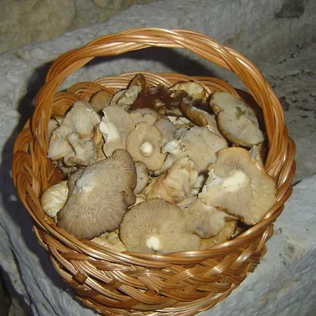 度假居 Las Casas De Valorica I *